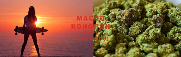 гидра Заводоуковск