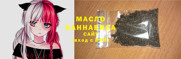 гидра Заводоуковск
