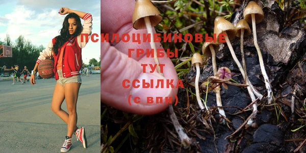 твердый Заволжье
