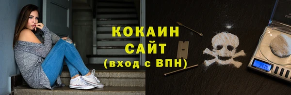 гидра Заводоуковск