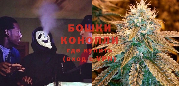 гидра Заводоуковск