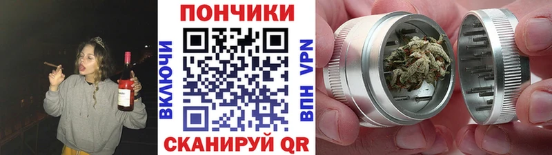 Купить где  Остров  МАРИХУАНА сатива 
